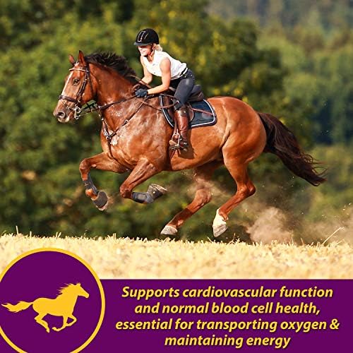 Farnam Horse Health Red Cell Pellets, Vitamin-Iron-Mineral Supplement for Horses, Helps Fill Important Nutritional Gaps in Horse's Diet, 4 lbs., 64-Day Supply (Pack of 4)