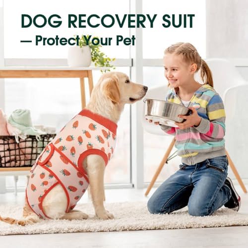 Kuoser Recovery Suit for Dogs After Surgery, Female Dog Onesie for Surgery