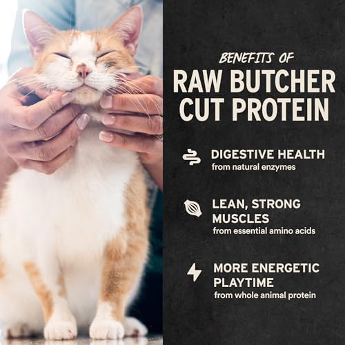 Vital Essentials Freeze Dried Cat Treats, Ahi Tuna Bites, 1.1 oz Bag