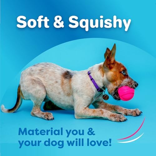 Hartz DuraPlay Bacon Scented Dog Toys, Large 1 Count, Colors May Vary (Pack of 2)