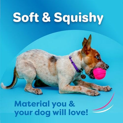 Hartz DuraPlay Bacon Scented Dog Toys, Large 1 Count, Colors May Vary (Pack of 2)