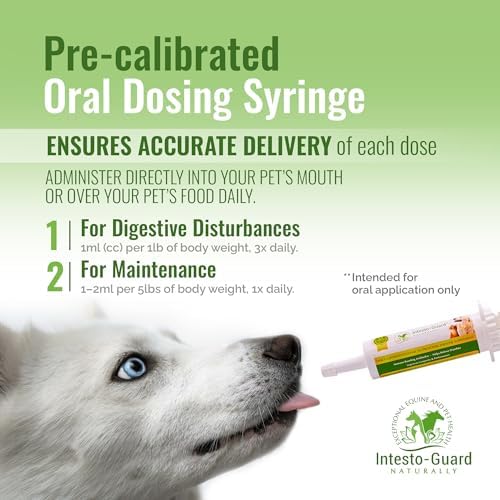 Probiotics Paste for Dogs Prebiotic for Canine, Gut Support, & Immune Boost, All Natural with 1 Billion per ML Includes (MOS)+ Beta Glucans + D-Mannose, No Animal by-Products - 60ML Single Tube