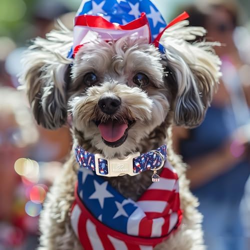 4th of July Dog Collar Patriotic Popsicle Dog Collars for Giant Large Dogs - Lightweight Adjustable Navy Independence Day Puppy Collars Cute Summer Pet Safety Collar XL