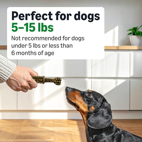 Amazon Basics Dental Dog Treats to Help Clean Teeth & Freshen Breath - Tiny (5-15 lbs), Unflavored (Previously Wag) (Pack of 2)
