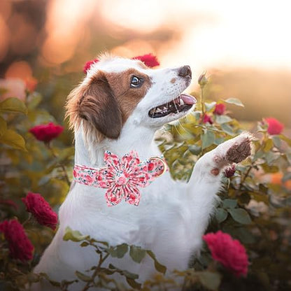 Dog Collar Cute Pink Flowers Print Pet Collar Soft Girl Dog Collar with Flower Adjustable Metal Buckle Collar Gift Collar for X-Large Dogs