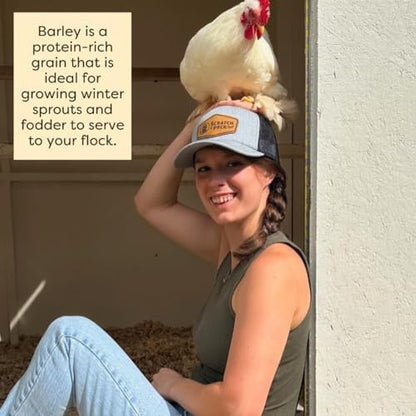 Scratch and Peck Feeds | Barley | Poultry & Livestock Grain | 40 lb Bag
