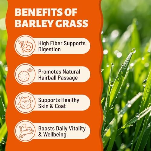 Cat Grass Treats for Indoor Cats for Hairball Control, 7.76oz