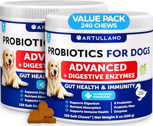 Probiotics for Dogs - 240 Chews - Dog Yeast Probiotic - Dog Probiotics