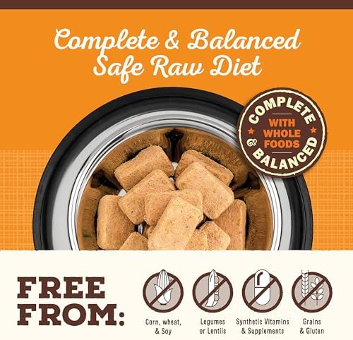 Primal Freeze Dried Raw Dog Food Nuggets, Beef, 5.5 oz