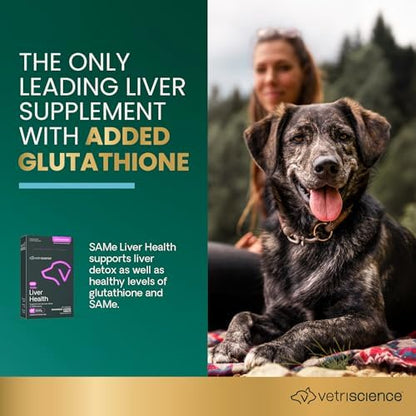 VetriScience Same Liver Health Tablets for Medium and Large Dogs, 30 Count