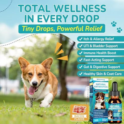 Woyamay Antibiotics for Dogs, Natural Dog Antibiotics for Allergy Relief
