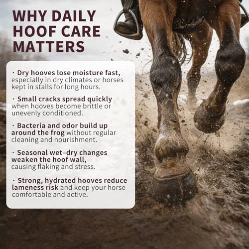 Hoof Oil Spray for Horse – Deep Hydration & Frog Care | Jojoba, Coconut & Tea Tree Formula | Repairs Dry, Cracked, Brittle Hooves & Boosts Natural Shine | 3.38 oz