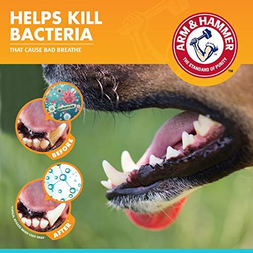 Arm & Hammer Fresh Breath Dog Dental Kit, Vanilla Ginger, 2.5 Oz, 72-Pack