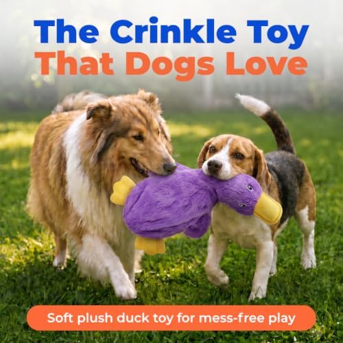 Best Pet Supplies Interactive Squeaky Dog Toy - Crinkle Duck, Purple
