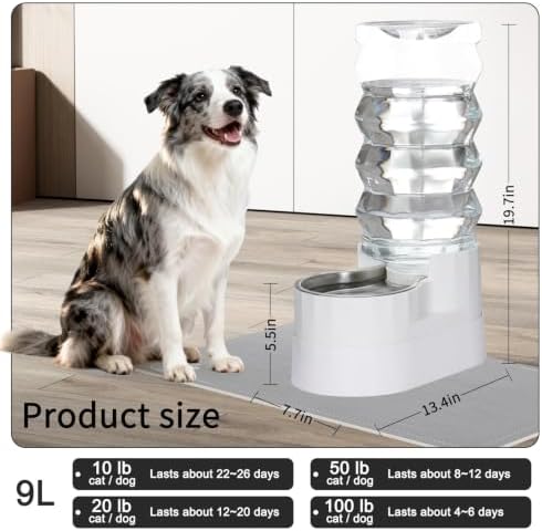 RIZZARI 9L Elevated Dog Water Dispenser: Large Capacity Wide Mouth