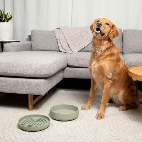 The Perfect Dish - Silicone Dog Bowl for Food & Water, 7.5"x2.25"- Charcoal