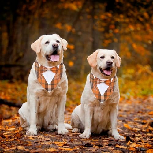 ADOGGYGO Fall Dog Tuxedo Collar, Orange Plaid Dog Thanksgiving Outfit, XL