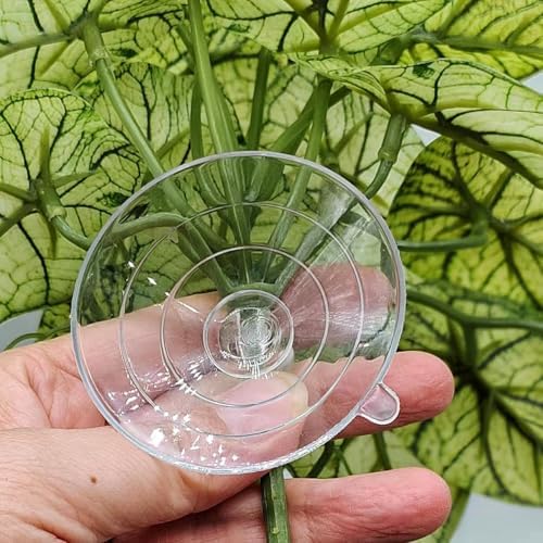 Reptile Plants for Terrarium,Habitat Decor, Hanging Plant with Suction Cup