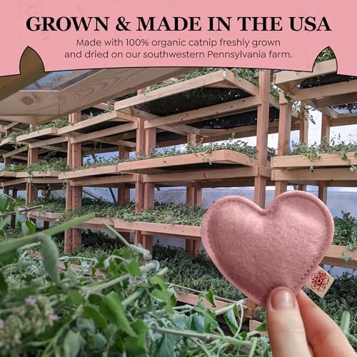 Catnip Toy – Heart Shape, Organic Catnip, 100% Wool Felt, Grown & Made in The USA - Pink, 2 Pack