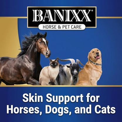 BANIXX Horse and Pet Care Spray for Horses, Dogs and Cats, Daily Skin and Coat Care Spray, Alcohol-Free, Non-Staining, No Odor, Made in USA, Grooming and Hoof Care Formula, 8 oz
