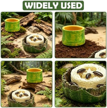 5pcs Dubia Roach Live Tree Stump Feeding Bowls & Green Bamboo Water Bowls Container with Loofah Net Set, Habitat for Dubia Roaches Live, Crickets & Springtails, Habitat Supplies