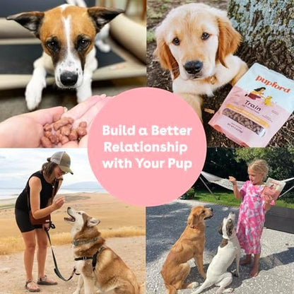 Pupford Freeze Dried Training Treats for Dogs & Puppies (Chicken, 4 oz)