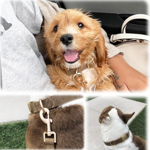 Soft Corduroy Fibric Dog Collar with High Grade Metal Buckle, for Medium Dogs.(Brown,Medium:12-19")