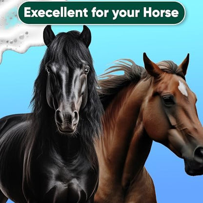 Antifungal Shampoo for Horse Antibacterial Formula Clinical Care Antiseptic