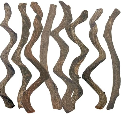 BNOSDM Reptile Forest Climbing Branch Decor 8PCS Crested Gecko Climb Wood Natural Branches Tree for Snake Frog Chameleon Spider Bearded Dragon Terrarium Habitat Tank Accessories