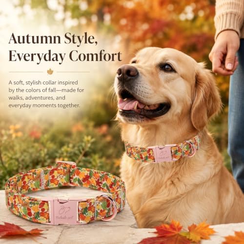 Fall Dog Collar, Cute Autumn Leaves Dog Collar - Soft Cotton Puppy Collars, Adjustable Heavy-Duty Metal Buckle Pet Collars for Small Medium Large Girl Boy Dogs M