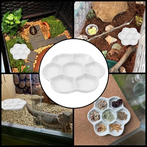 5.51" Hermit Crab Ceramic Food Dish for Hermit Crab