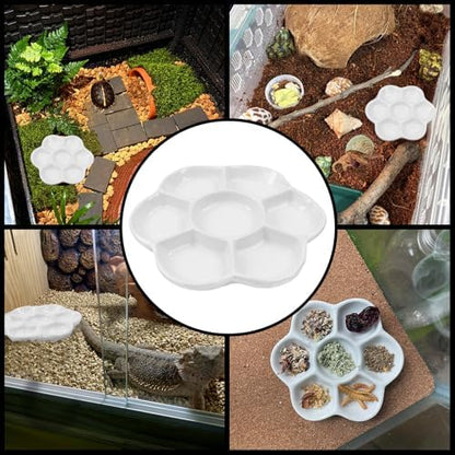 5.51" Hermit Crab Ceramic Food Dish for Hermit Crab