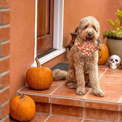Dog Collar Halloween Fall Orange Ghost Print Pet Collar Holiday Soft Dog Collars with Flower Adjustable Metal Buckle Collar for X-Large Dogs