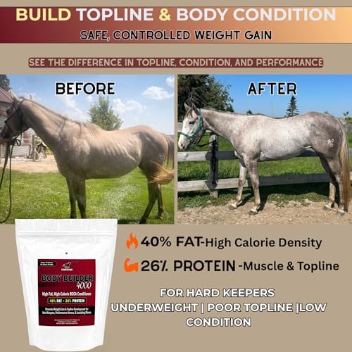 Pennwoods Body Builder 4000 Horse Weight Gain Fat Conditioner, 12 lb