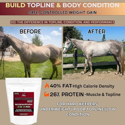 Pennwoods Body Builder 4000 Horse Weight Gain Fat Conditioner, 25 lb