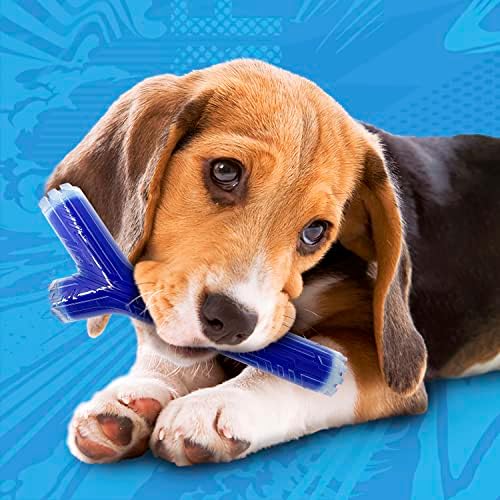 Nerf Dog 10in TPR/PP Scented Peanut Butter SuperScent Stick Solid Core -Clear/Blue, (NF-7133)