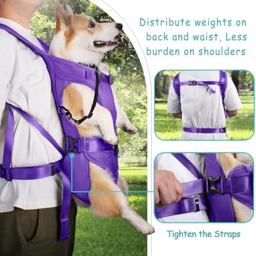 PetBonus Dog Front Carrier Backpacks, Legs Out Easy-fit Puppy Chest Carrier