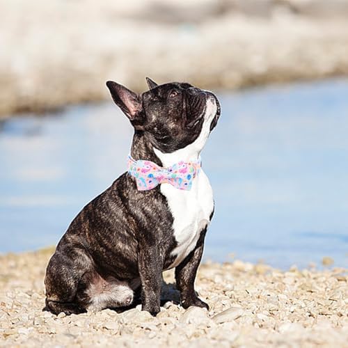 Lionheart glory Dog Bow Collar Sea Animals Print Pink Dog Collar for Medium Dogs,Female Male Dog Collars with Bowtie Spring Summer Collars Soft Adjustable Pet Collar Bows