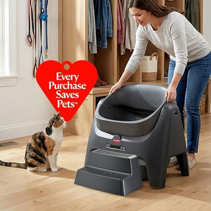 BISSELL CleanWell Stairs, Cat Stairs/Steps combatible with automated Litter Box, 4434