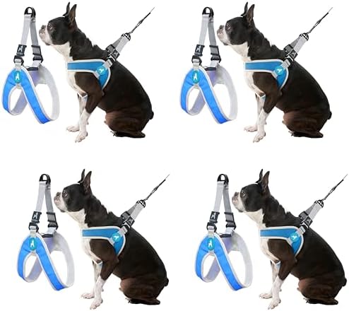 Gooby Simple Step III Harness - Blue, Small - Dog Harness with Scratch Resistant Outer Vest - Soft Inner Mesh for Small, Medium Dogs (Pack of 4)