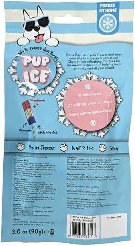 SPOT Pup Ice- Ready to Freeze at Home Dog Treats-Edible Chews for Medium Breed Dogs & Puppies with Real Chicken to Keep Your Pup Cool Year Round, Rocket Lollies Strawberry & Blueberry Flavor, 2pcs