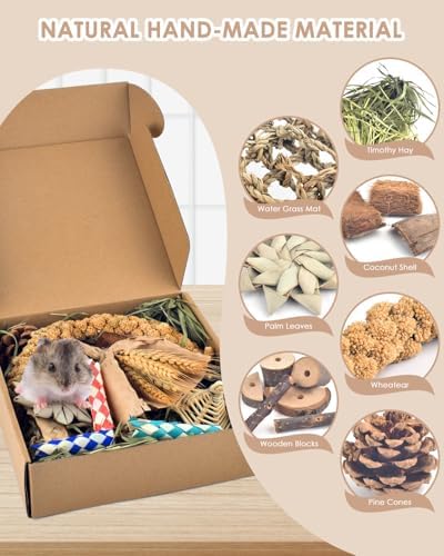 Bissap Rabbit Chew Toy, Natural Bunny Treats Snacks with Timothy Hay Water Grass Mat Coconut Husk Box for Guinea Pigs Chinchillas Hamsters Gerbils and Other Small Pets Teeth Grinding