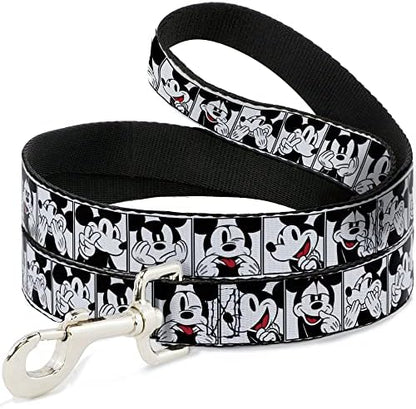 Disney Dog Leash