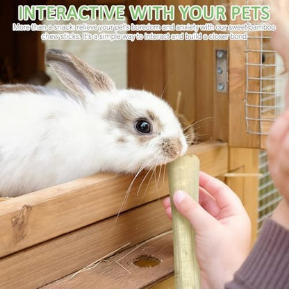 Tfwadmx Small Animal Snacks Sweet Bamboo Molar Treats 200 g Bunny Chew Toys for Chinchilla Rabbit Guinea Pig Hamster Squirrel (About 22-27 Sticks)