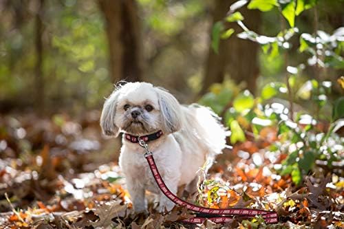 Pets First NHL Arizona Coyotes Leash for Dogs & Cats, Walk Cute & Stylish! The Ultimate Hockey Fan Leash!, Large (6 ft Long x 1 in Width) (COY-3031-LG)