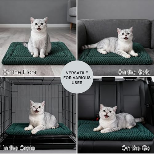 Dog Bed Mat - Dog Crate Pad - Reversible Mat for Pet Comfort - Soft Bed Crate Pads for All Seasons - Durable, Machine Washable Mat for Crates, Travel, and Home (Dark Green, 18" L*14" W*1.5" Th)