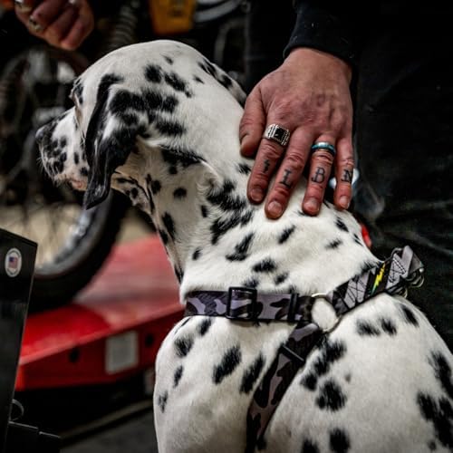 Wolfgang Heavy Duty Adjustable Dog Harness, Pull-Tested to Over 800 lbs for Walking & Training, DarkSkies Print, Medium