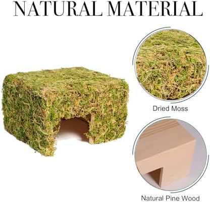 Hamster Hideout - Large, Natural Moss, Handcrafted for Syrian Hamsters, Rats & Guinea Pigs, Hermit Crab,Hedgehogs,Lizards & Other Reptiles（Square, Large）