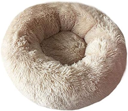 Cat Bed for Indoor Cats,Mini Plush Self Warming Kitten Bed, 20 Inch