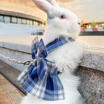 Rabbit Harness and Leash for Walking Escape Proof - Cute Skirt Mesh Breathable Bunny Vest Harness Outdoor Camping Hiking Training - Also Suit for Ferret Kittn Puppy Small Animals (Small,Blue)